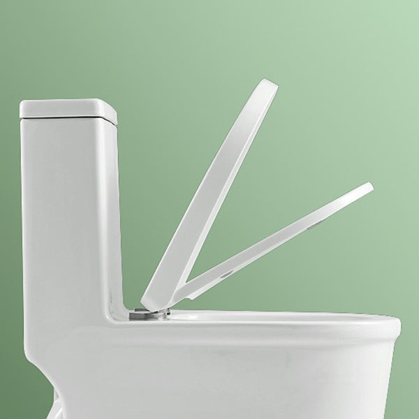 Traditional Flush Toilet All-In-One Floor Mounted Siphon Jet Porcelain Toilet