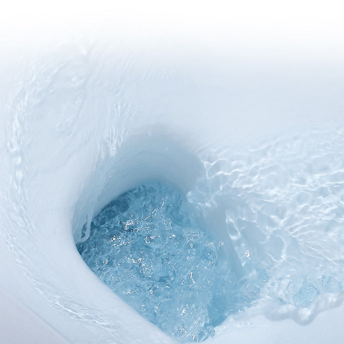 Traditional Toilet Bowl One Piece Floor Mounted Siphon Jet Porcelain Toilet