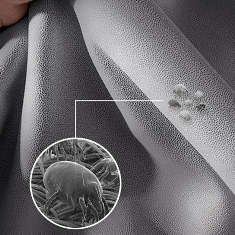 Contemporary Convertible Sofas Cushion Back Futon Sleeper Sofa Bed