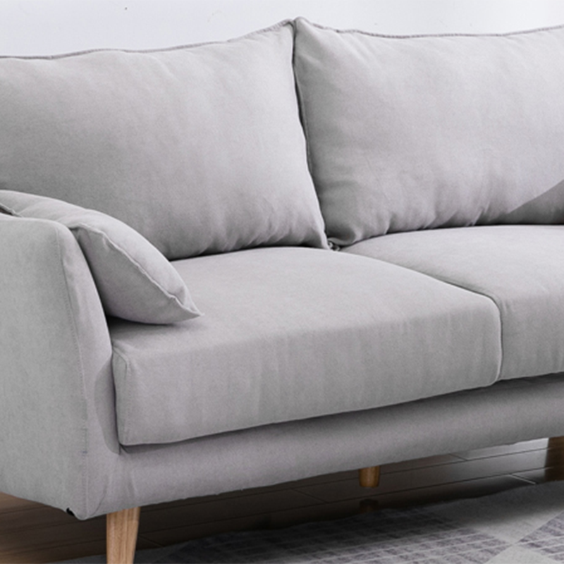 Modern Sofa with 2 Pillows Living Room Charles Of London Seating