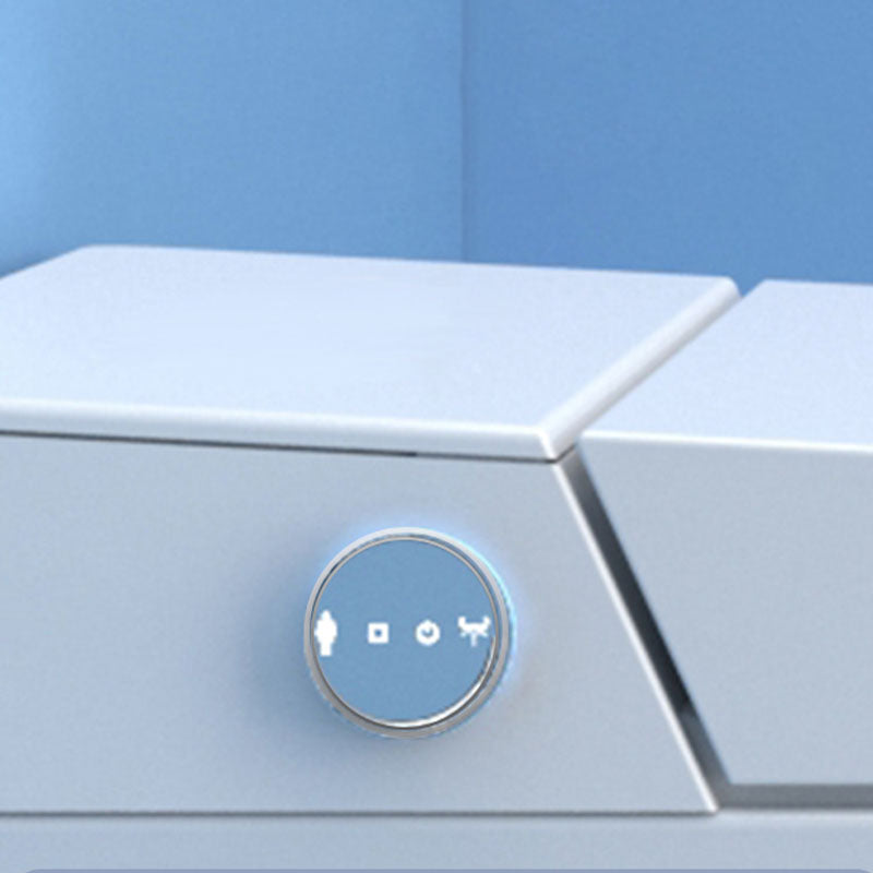 Contemporary Flush Toilet Floor Mounted One-Piece Toilet Porcelain Urine Toilet