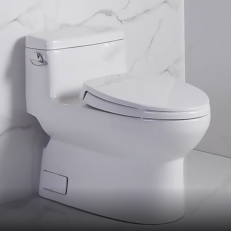 Traditional One Piece Flush Toilet Floor Mounted White Toilet Bowl for Bathroom