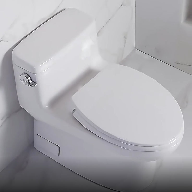Traditional One Piece Flush Toilet Floor Mounted White Toilet Bowl for Bathroom