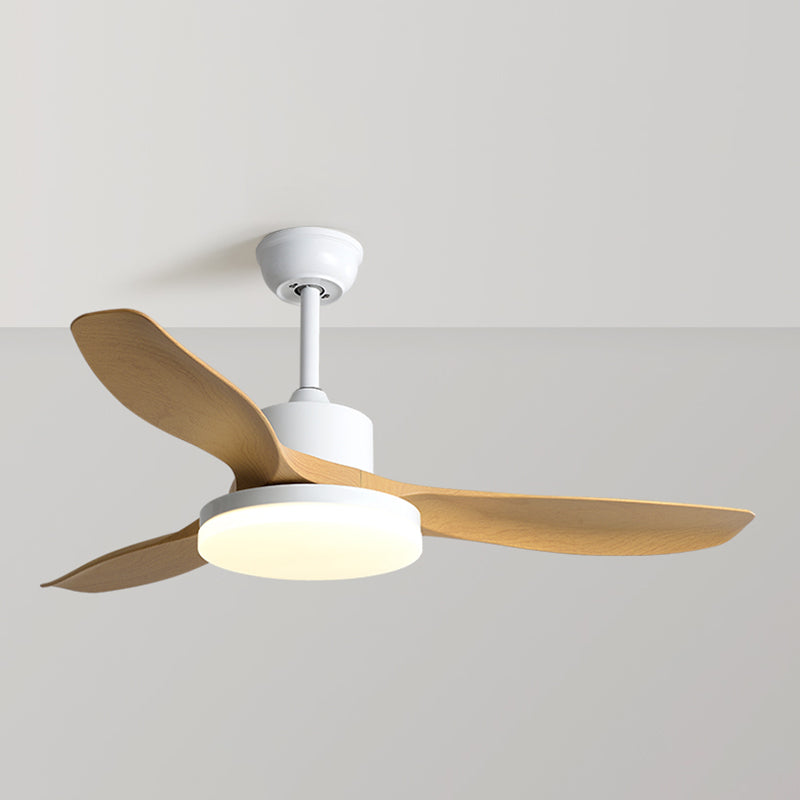 1 - Light Contemporary Ceiling Fan 3 - Blades Fan Light for Room