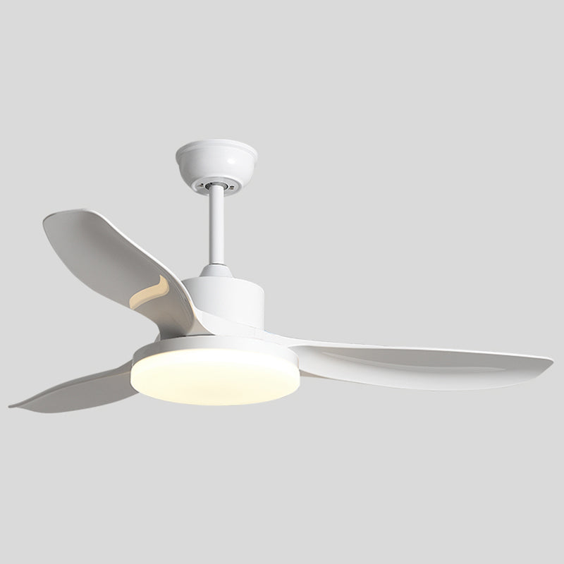 1 - Light Contemporary Ceiling Fan 3 - Blades Fan Light for Room
