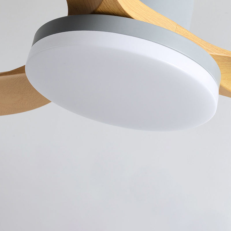 1 - Light Contemporary Ceiling Fan 3 - Blades Fan Light for Room