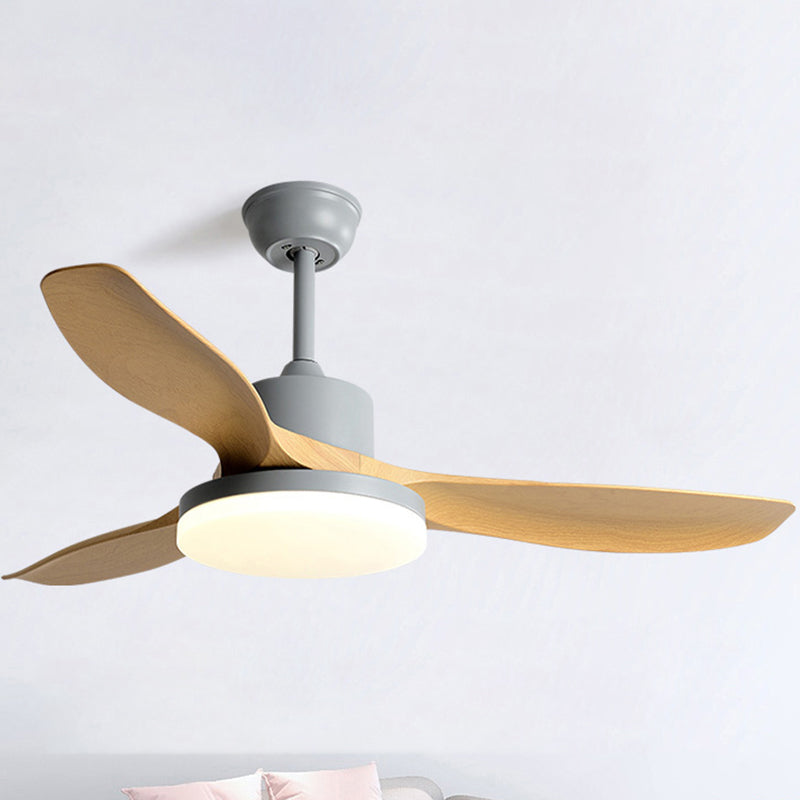 1 - Light Contemporary Ceiling Fan 3 - Blades Fan Light for Room
