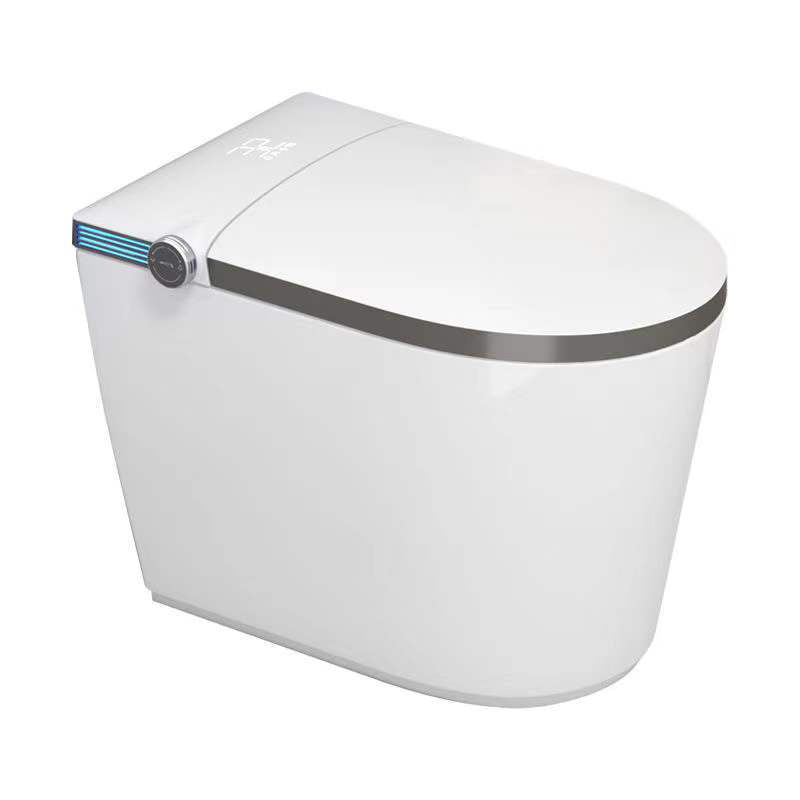 Contemporary One Piece Flush Toilet Floor Mount Urine Toilet with Seat for Washroom