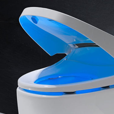 Contemporary Ceramic Flush Toilet Floor Mounted Toilet Bowl with Seat for Bathroom