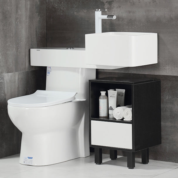 Contemporary Flush Toilet Floor Mount One-Piece Toilet Toilet Bowl