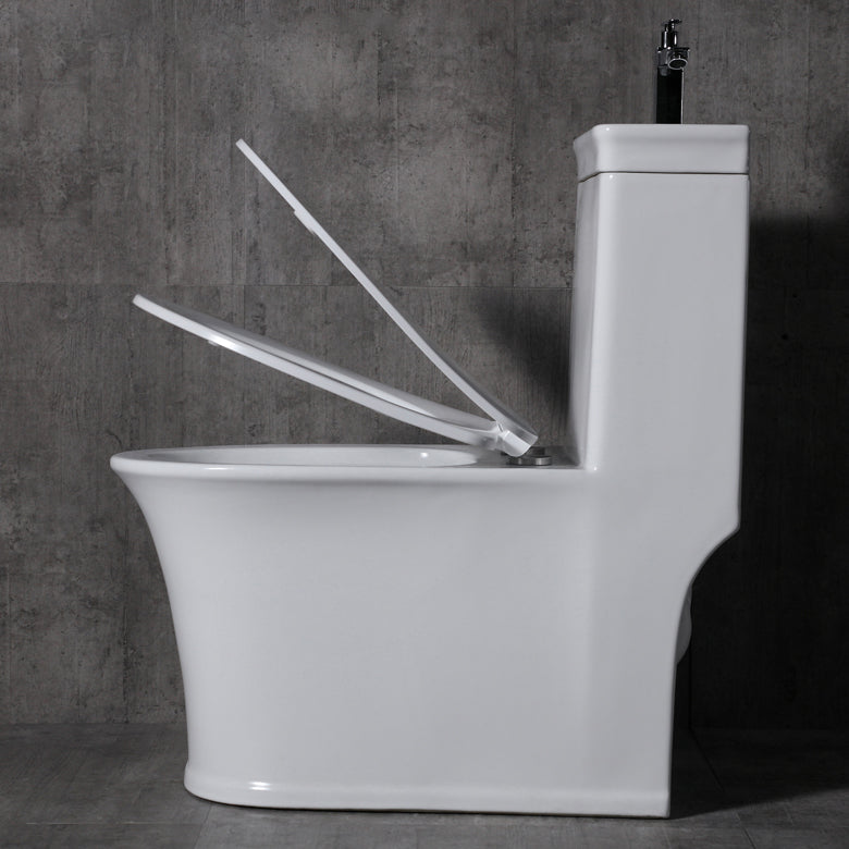 Contemporary Flush Toilet Floor Mount One-Piece Toilet Porcelain Urine Toilet