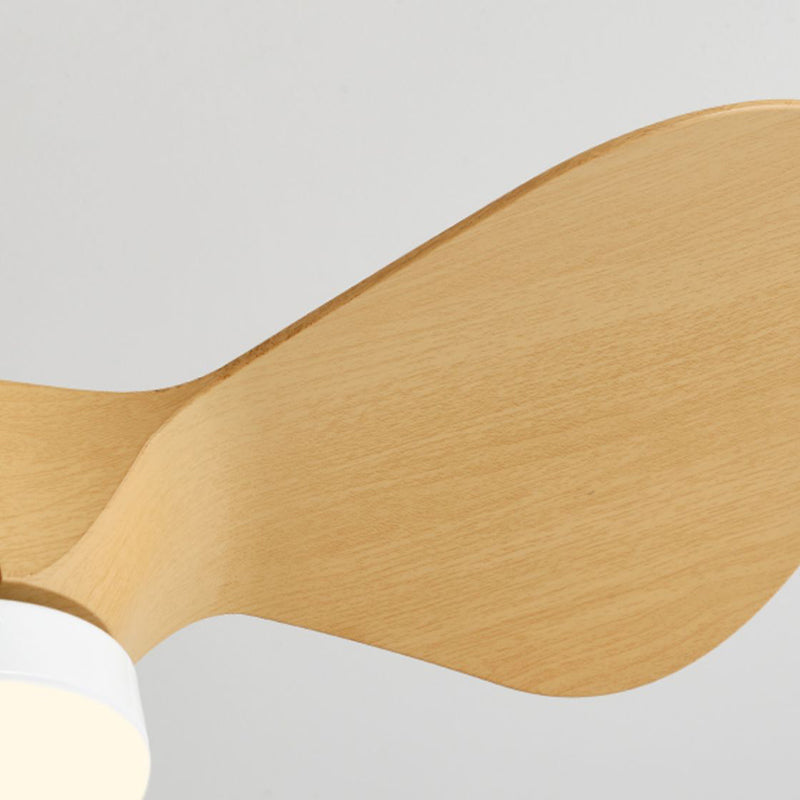 Metal Fan Shape Ceiling Fan Kid Style Single-Light Ceiling Fans Fixtures