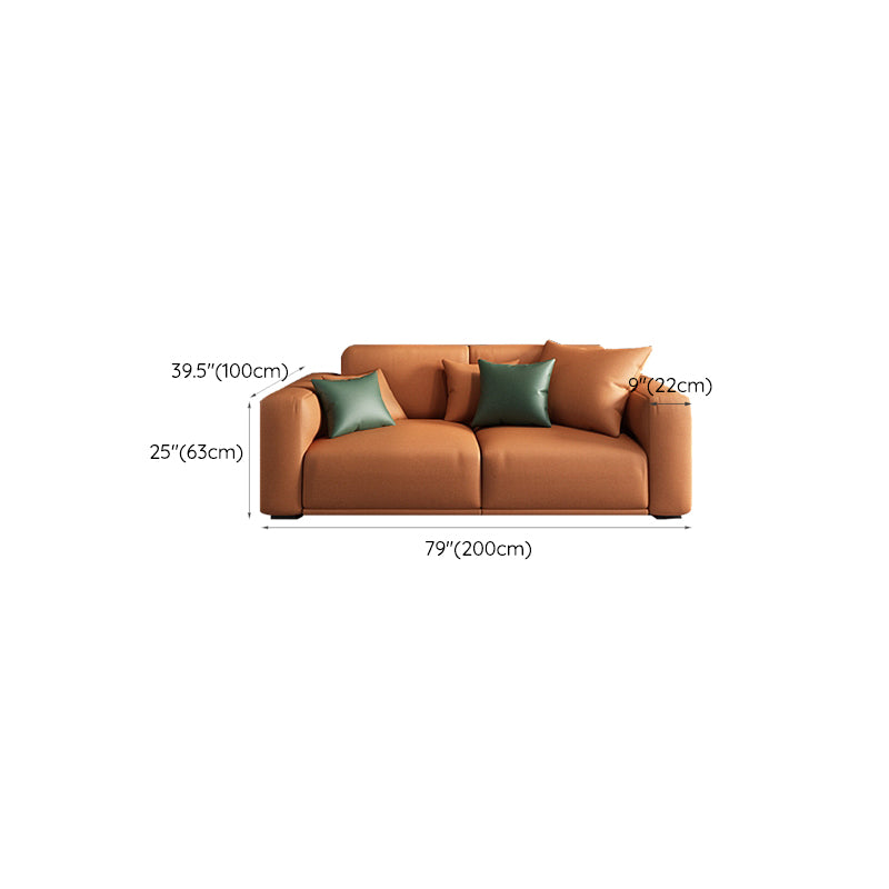 Contemporary Loose Back Seating Pillow Top Arm Beige Sofa for Apartment
