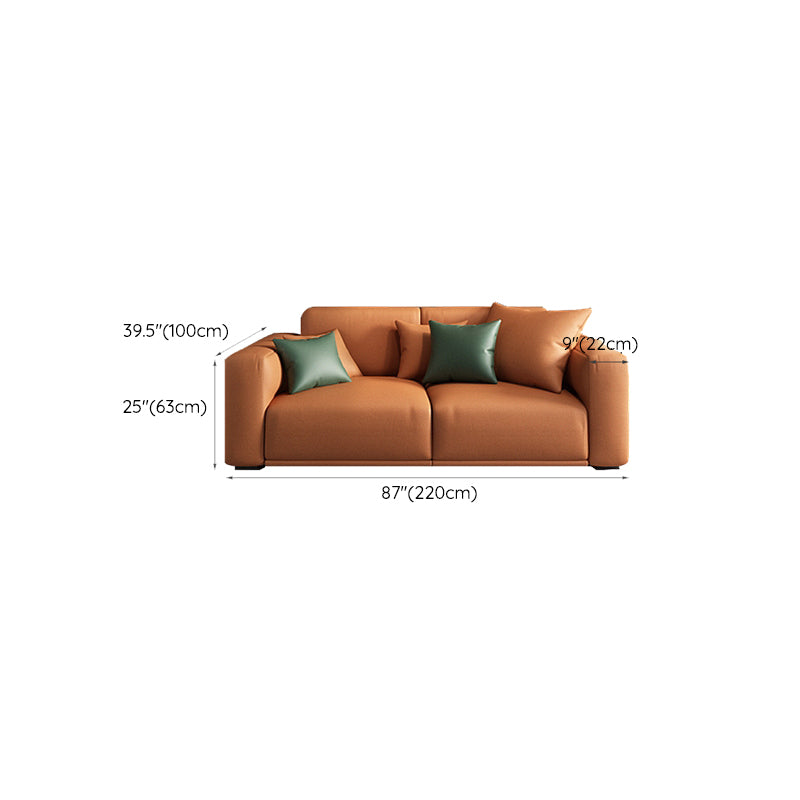 Contemporary Loose Back Seating Pillow Top Arm Beige Sofa for Apartment
