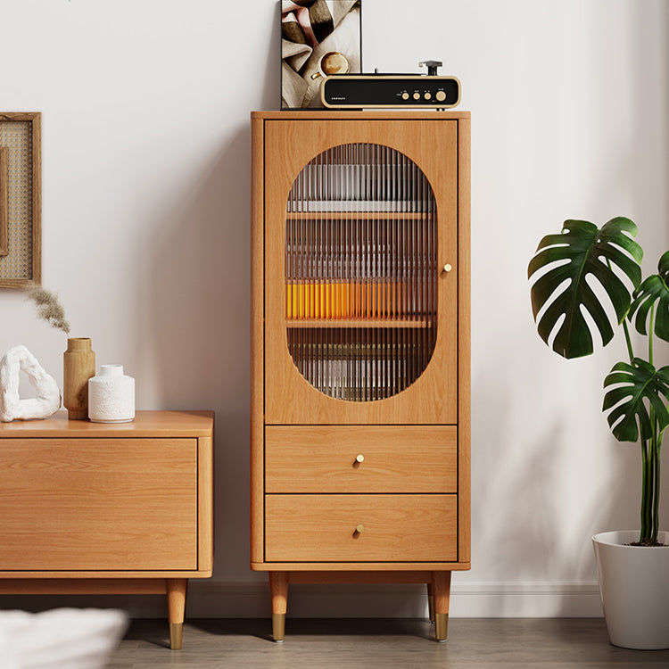 Modern Two Drawer Accent Cabinet Rectangular Wooden and Glass 1-Door Cabinet