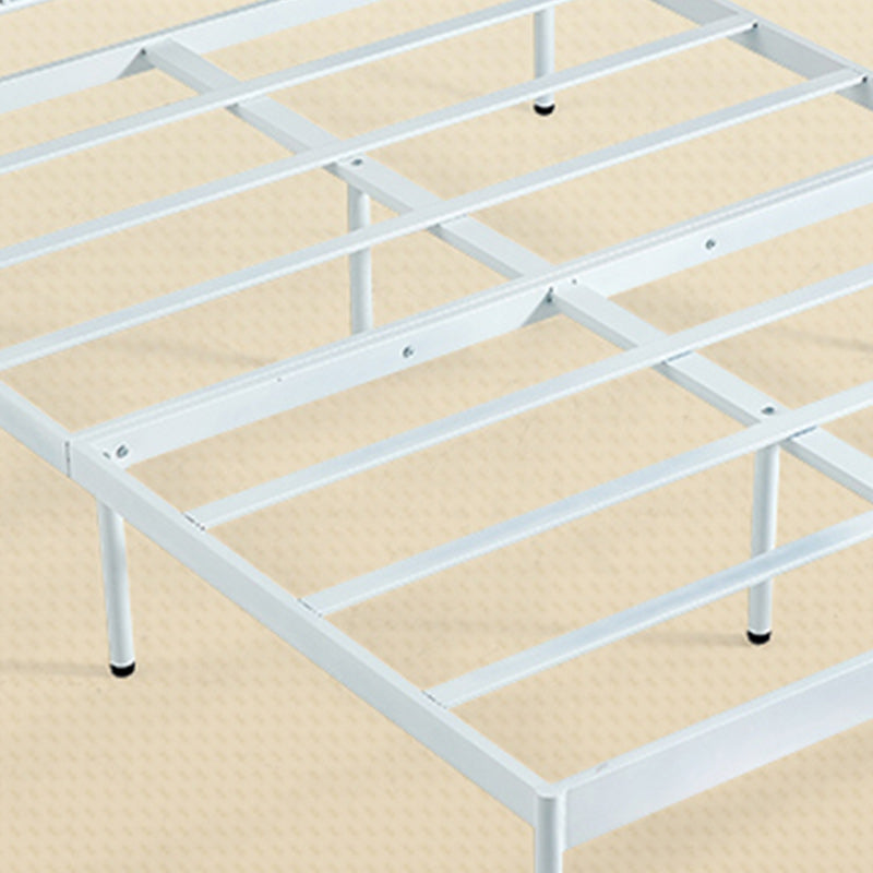 Glam Standard Bed Metal Open-Frame Bed with Custom Gold Legs