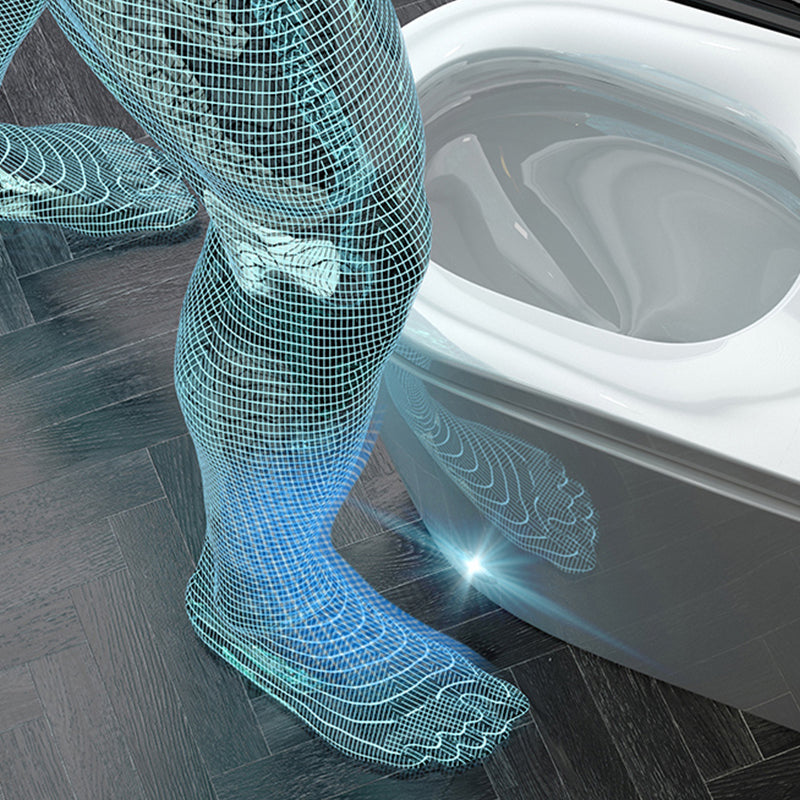 Contemporary Ceramic Flush Toilet Floor Mount Toilet with Seat for Washroom