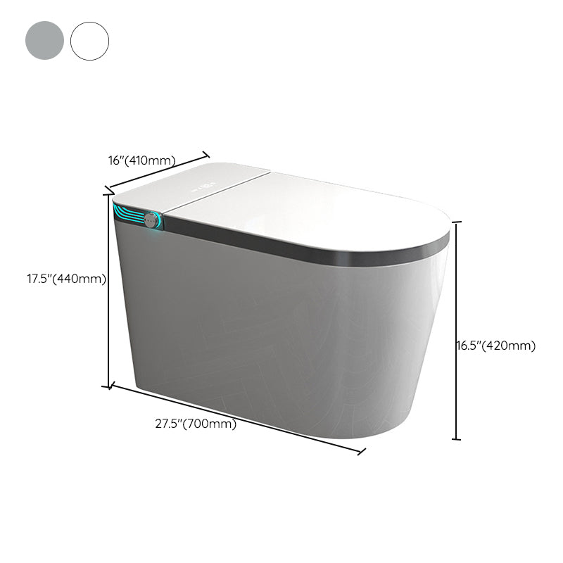 Contemporary Ceramic Flush Toilet Floor Mount Toilet with Seat for Washroom