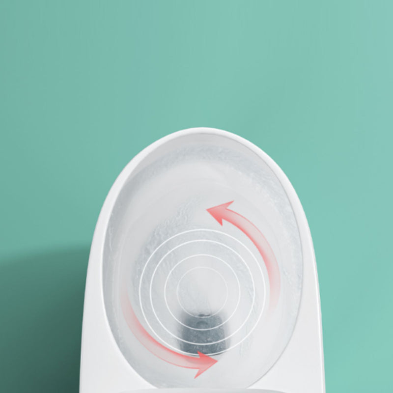 Traditional Ceramic Toilet Floor Mount Urine Toilet with Slow Close Seat for Washroom