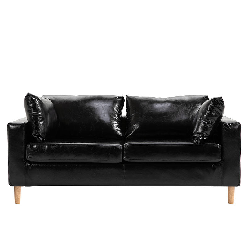 Modern Standard Sofa Pillows Square Arm 2 Seater Living Room Settee