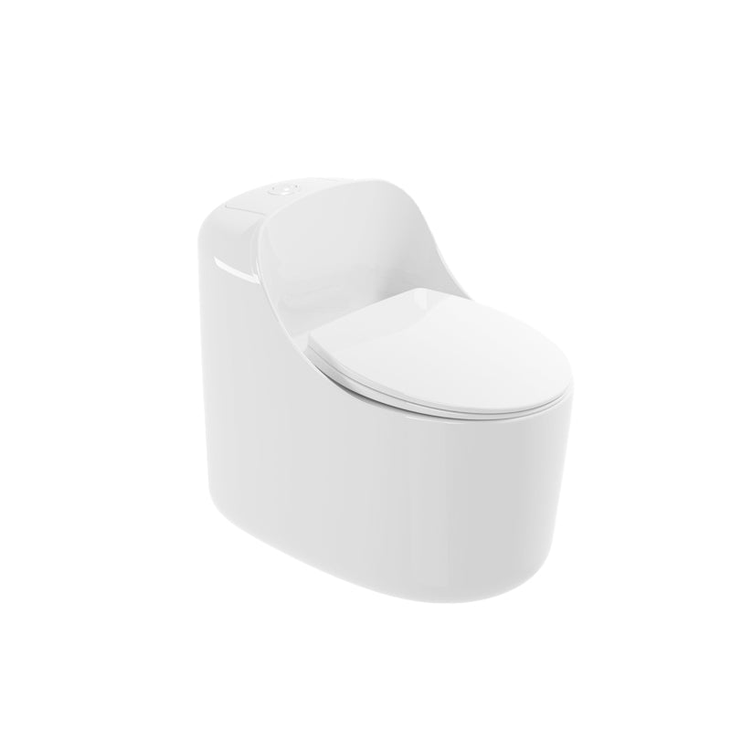 Modern Ceramic Flush Toilet Floor Mounted Urine Toilet with Slow Close Seat for Washroom