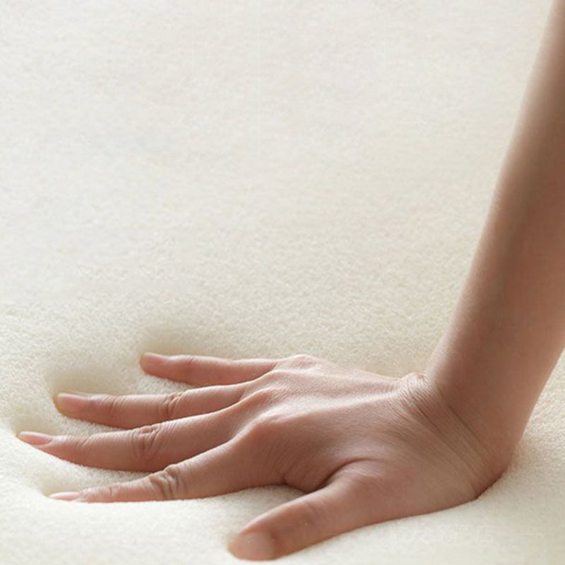 Living Room Futon Sleeper Sofa Bed Modern Style Convertible Sofas