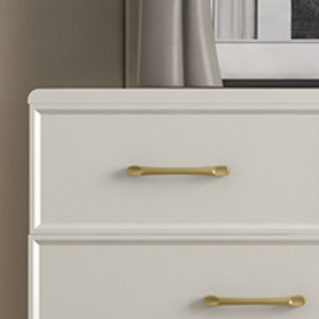 Contemporary Glam Storage Chest Birch Vertical Storage Chest Dresser for Bedroom