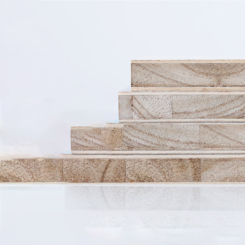 Scandinavian Book Shelf Double-Sided Standard Kids Bookcase in Open Back