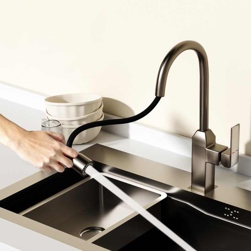 Modern Pull Down Pot Filler One Handle High Profile Filler with Sprayer