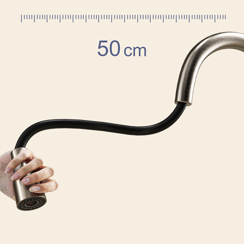 Modern Pull Down Pot Filler One Handle High Profile Filler with Sprayer