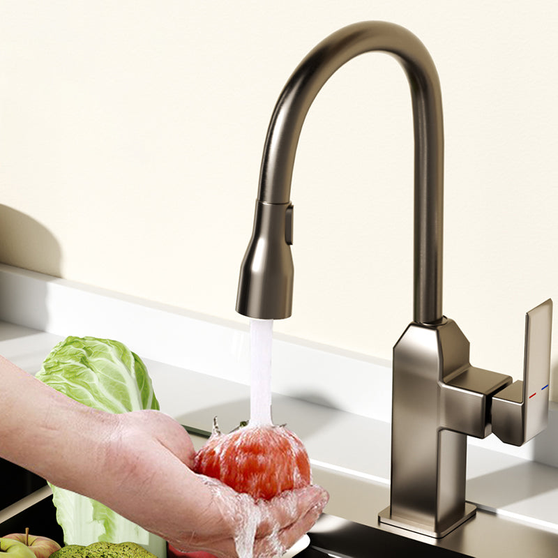 Modern Pull Down Pot Filler One Handle High Profile Filler with Sprayer