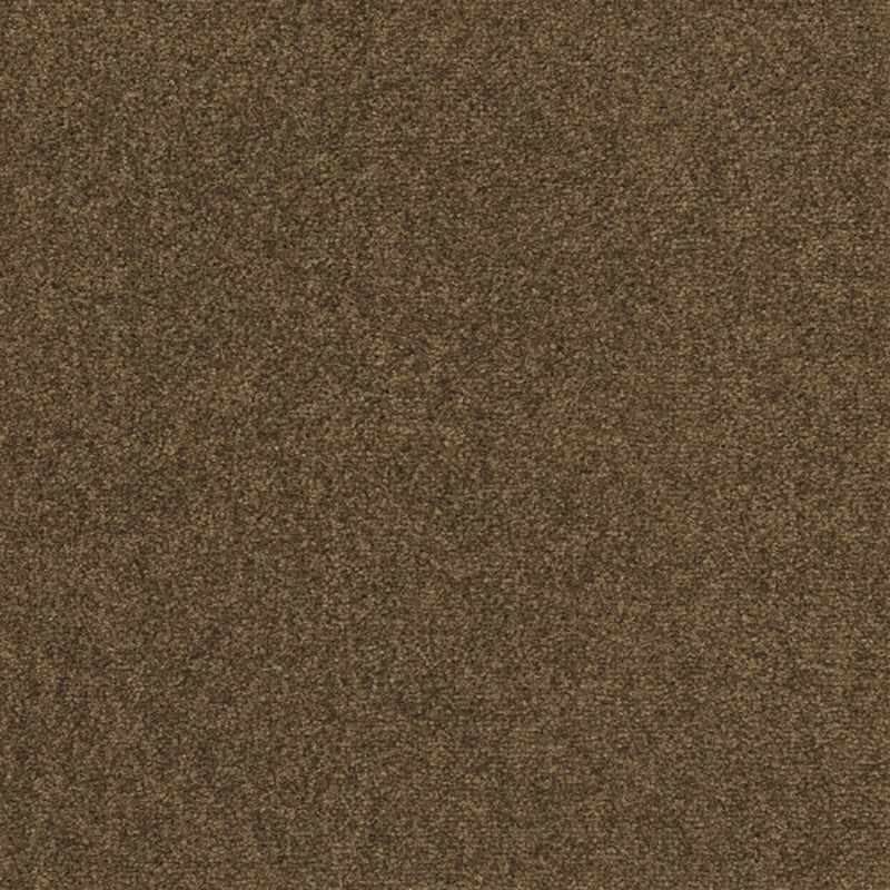 Indoor Carpet Tiles Square Color Block Level Loop Bedroom Carpet Tiles