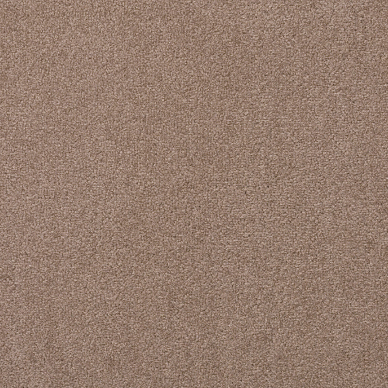 Indoor Carpet Tiles Square Color Block Level Loop Bedroom Carpet Tiles