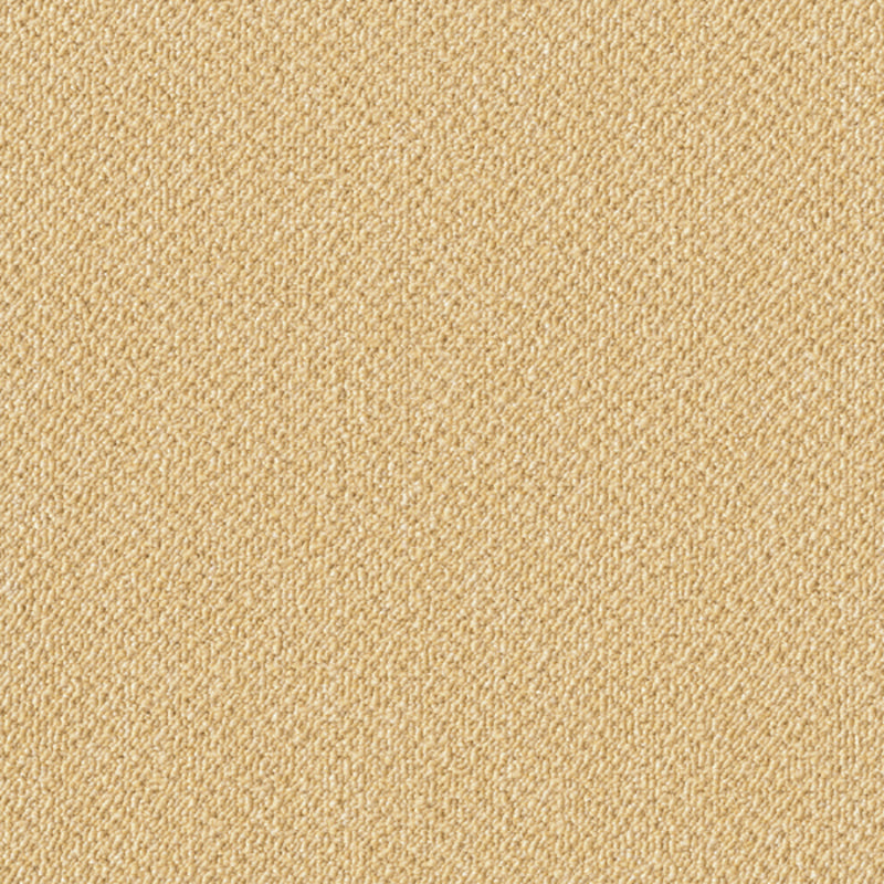 Modern Carpet Tiles Color Block Stain Resistant Bedroom Carpet Tiles