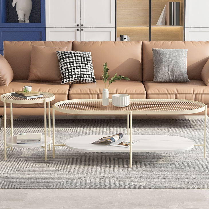 4 Legs Metal Coffee Table Shelf Included Oval Glass Top Cocktail Table