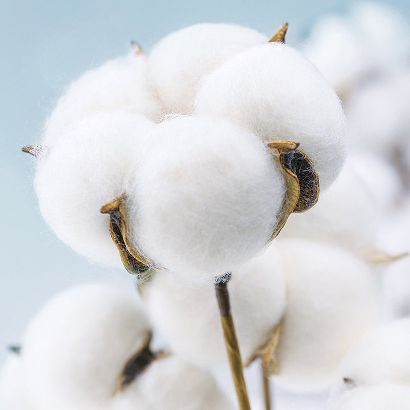 Trendy Fitted Sheet Floral Patterned Ultra-Soft Cotton Non-Pilling Fitted Sheet