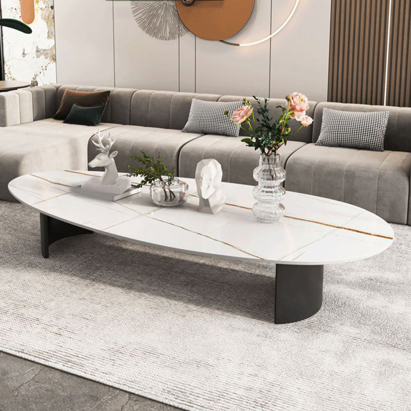 2 Legs Single Coffee Table Slate Oval Coffee Table with Storage
