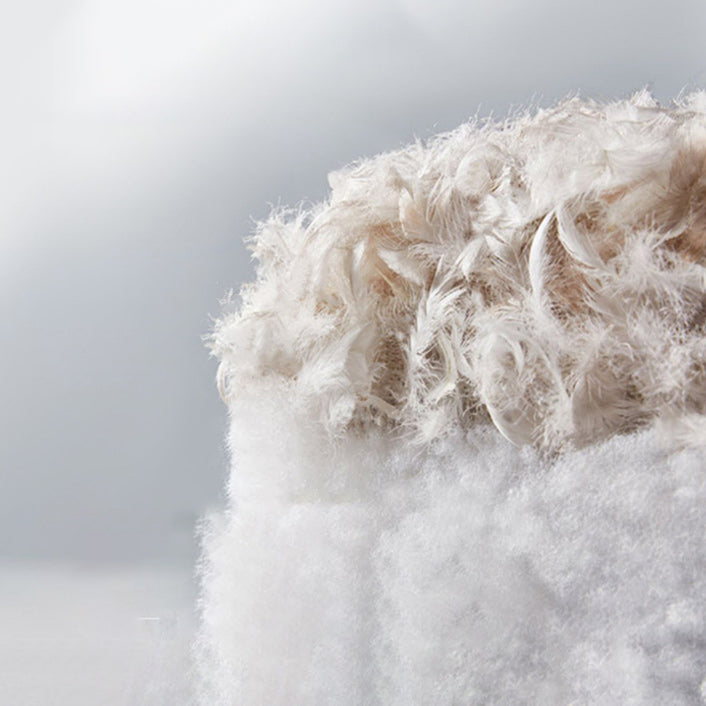 Contemporary Rectangular Upholstered Headboard Solid Color Standard Bed