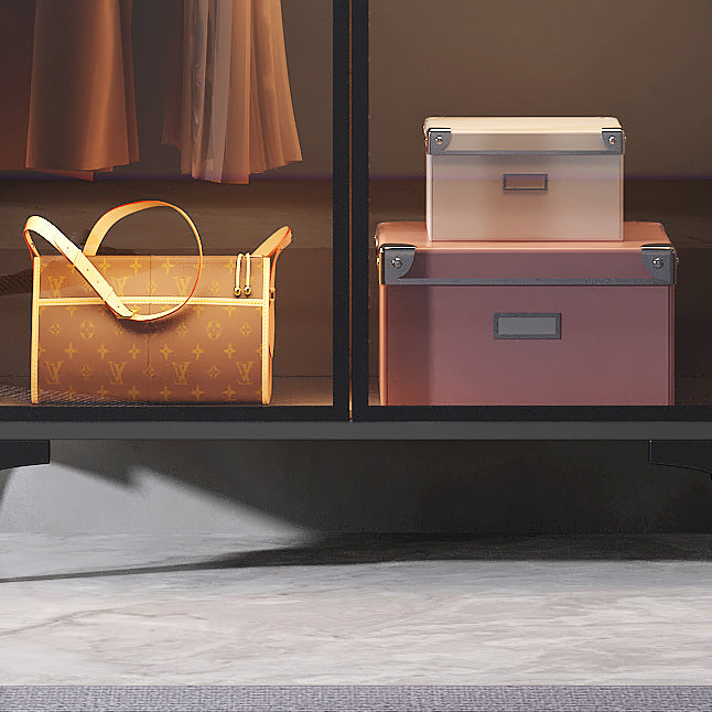 Freestanding Wood Frame Wardrobe Armoire Modern Wardrobe with Tempered Glass Doors