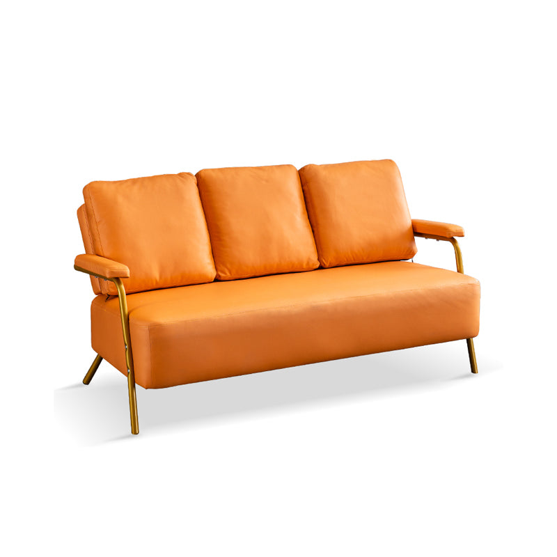 Metal Stationary Loveseat Cushions Back Standard Sofa with Pillows