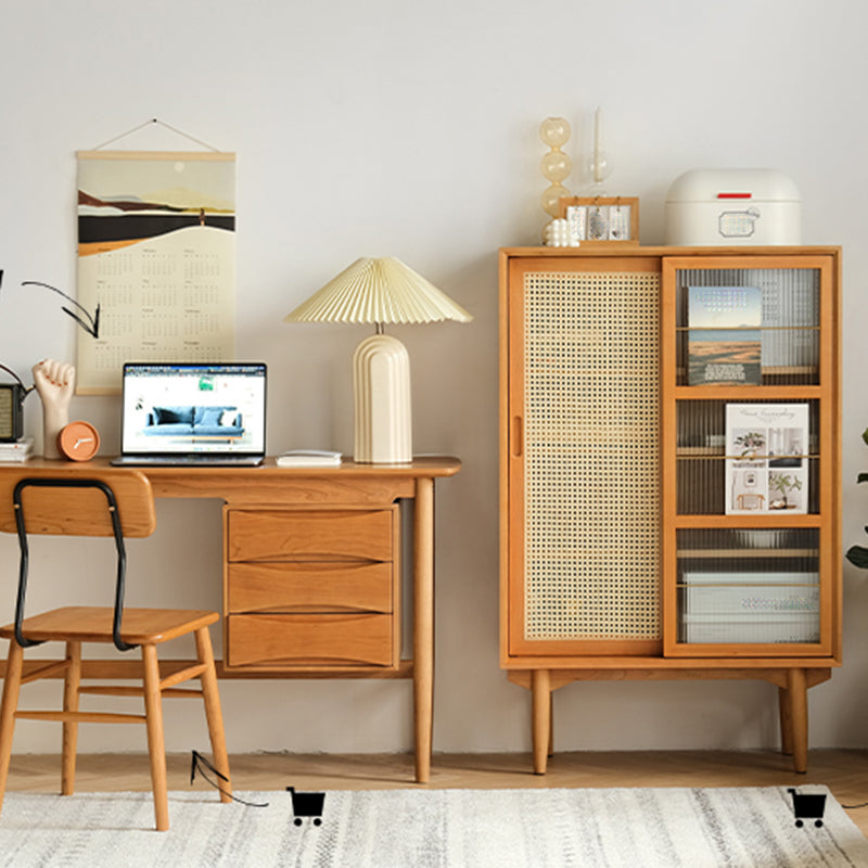 Closed Back Bookshelf Solid Wood Contemporary Bookcase with Doors