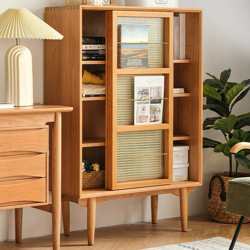 Closed Back Bookshelf Solid Wood Contemporary Bookcase with Doors