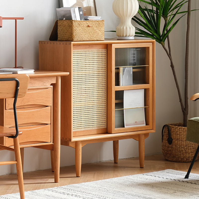 Closed Back Bookshelf Solid Wood Contemporary Bookcase with Doors