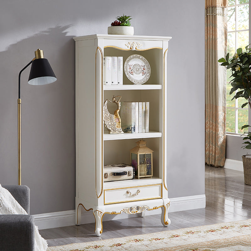 Contemporary Wooden Bookcase Standard Closed Back Bookshelf with Shelves