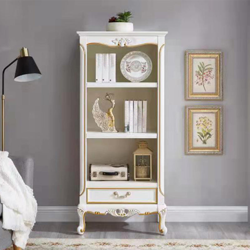 Contemporary Wooden Bookcase Standard Closed Back Bookshelf with Shelves