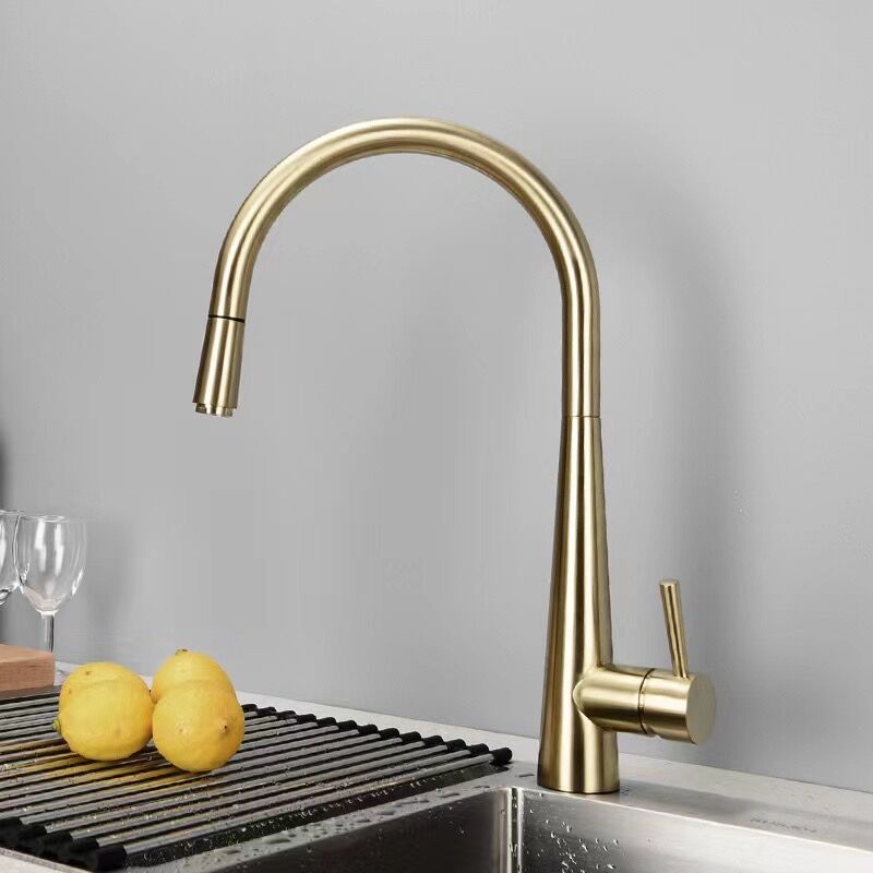 Modern Pull Out One Handle Kitchen Faucet Low Profile Filler with Sprayer