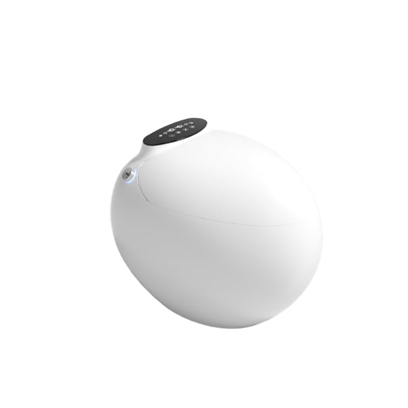 Contemporary Floor Mount Toilet Bowl Heated Seat Included Urine Toilet for Washroom