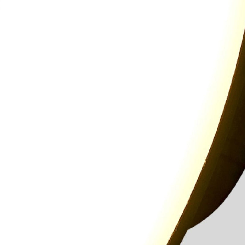 Simple Wall Sconce Curl Outdoor Wall Light Fixture with Acrylic Shade