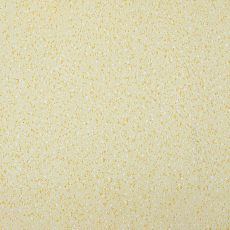 Indoor Flooring Peel and Stick Coiled PVC 200cm Waterproof Vinyl Floor