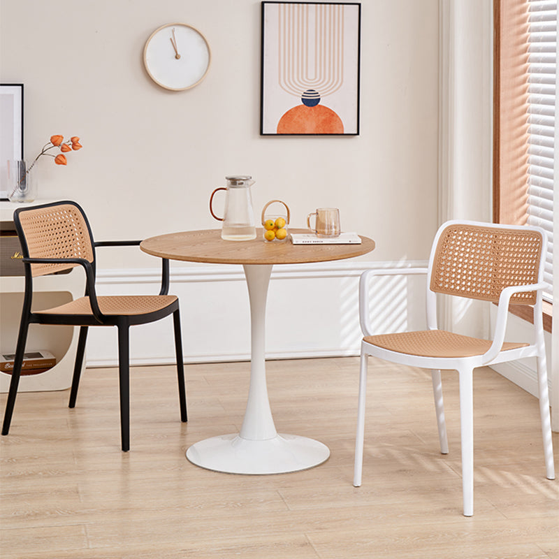 Stacking Outdoors Dining Chairs Tropical Plastic Patio Dining Chair